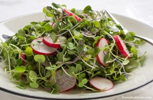 Microgreen Salad